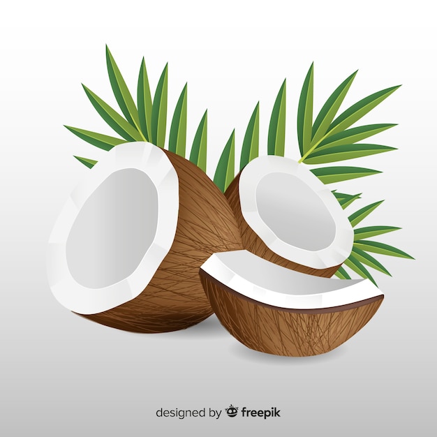 Free Vector hand drawn coconut background