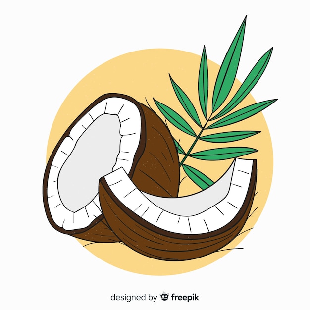 Hand drawn coconut background