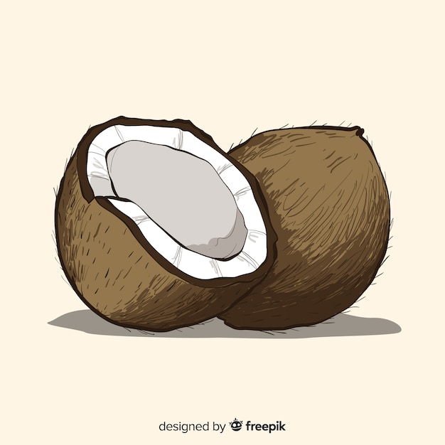 Hand drawn coconut background