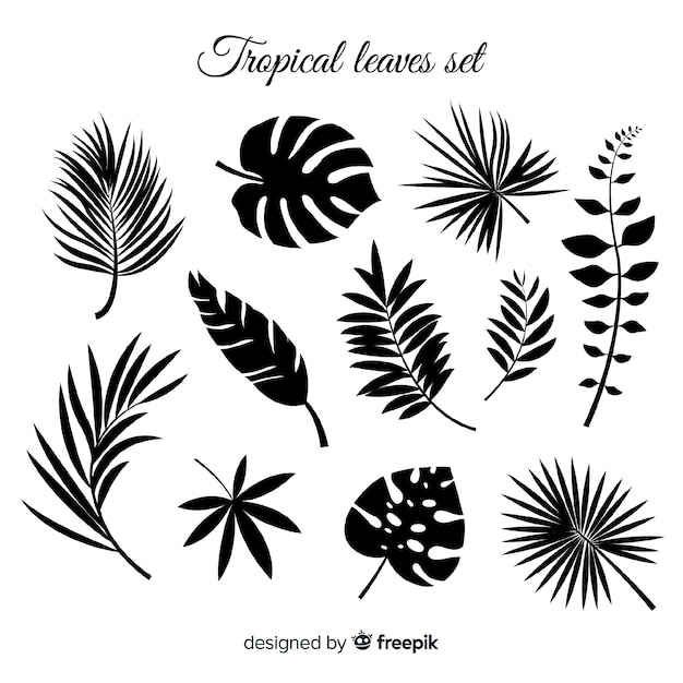 Free Vector hand drawn collection of tropical leaves