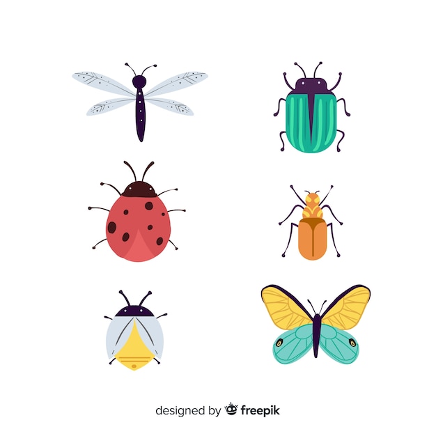 Hand drawn colorful bug collection