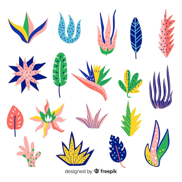 Free Vector hand drawn colorful flowers and leaves collection