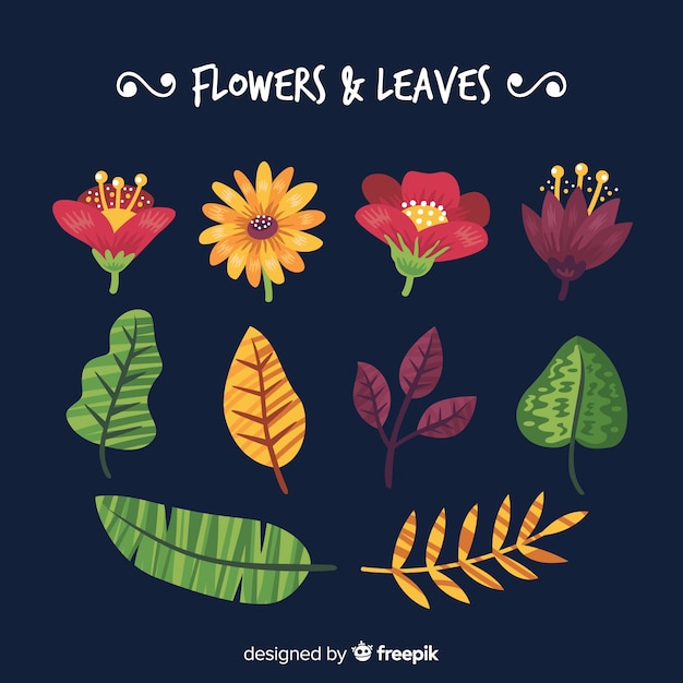 Free vector hand drawn colorful flowers and leaves collection