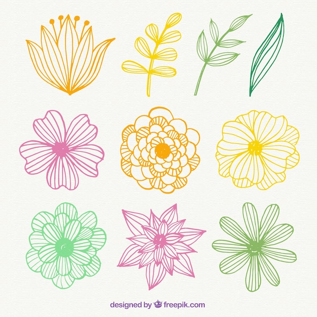 hand drawn colorful flowers