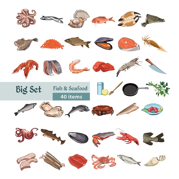 Hand Drawn Colorful Seafood Set