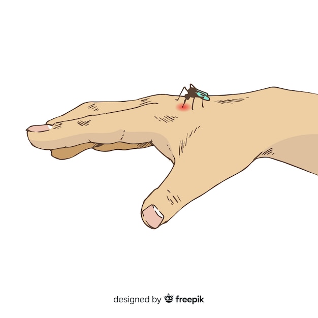 Free Vector hand drawn composition of mosquito biting a