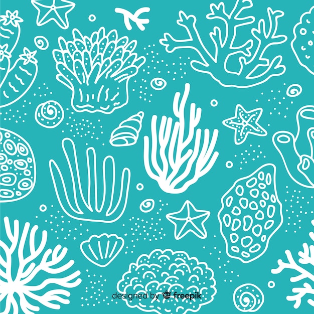 Hand drawn coral background