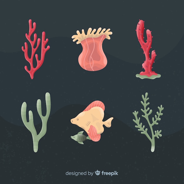 Free Vector hand drawn coral collection