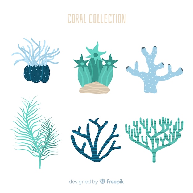 Hand drawn coral collection