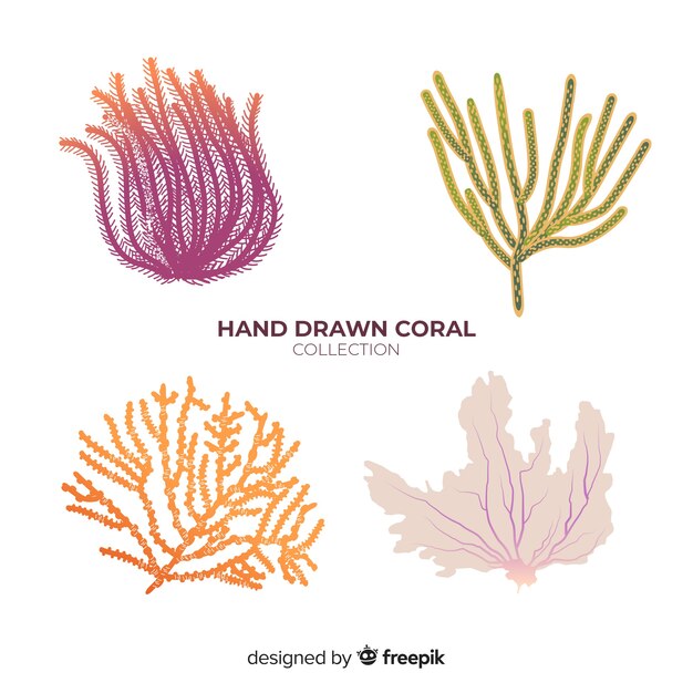 Hand drawn coral collection