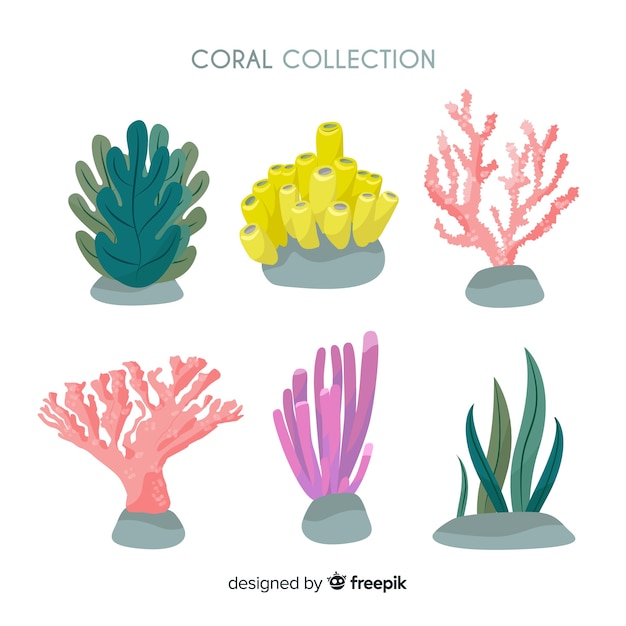 Hand drawn coral collection