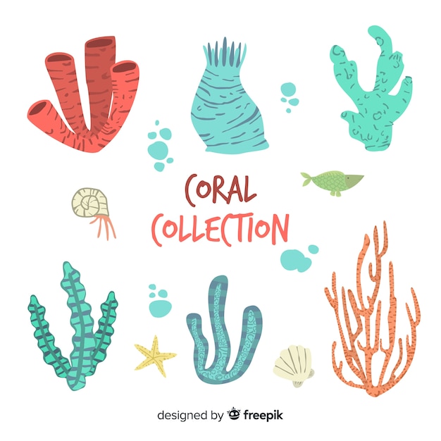 Hand drawn coral collection