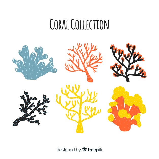 Hand drawn coral collection