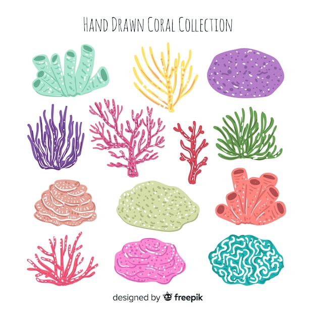 Free Vector hand drawn coral collection