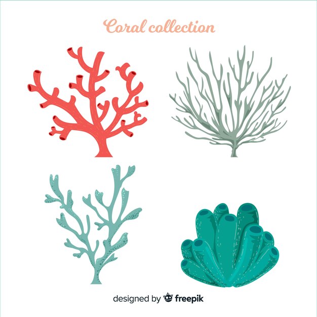 Hand drawn coral collection