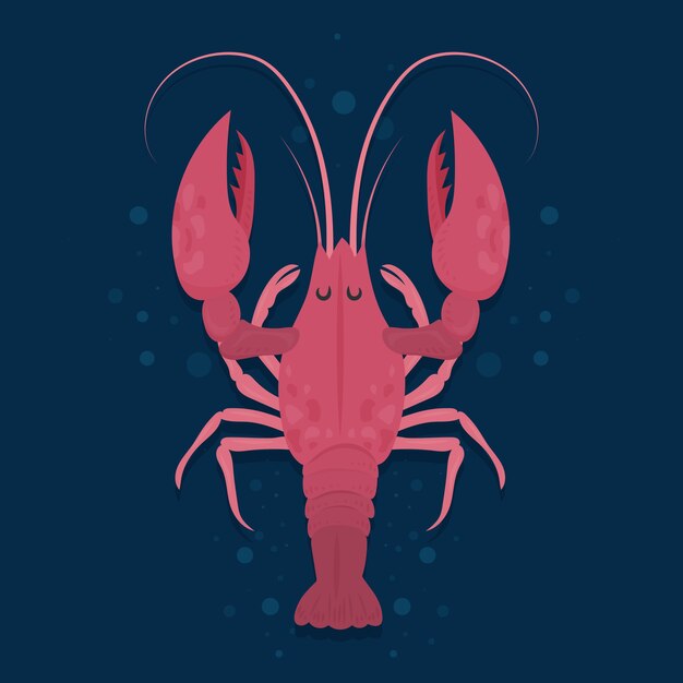 Hand drawn crawfish illustration