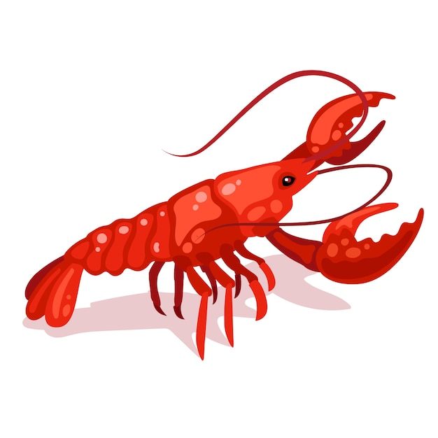 Free Vector hand drawn crawfish illustration