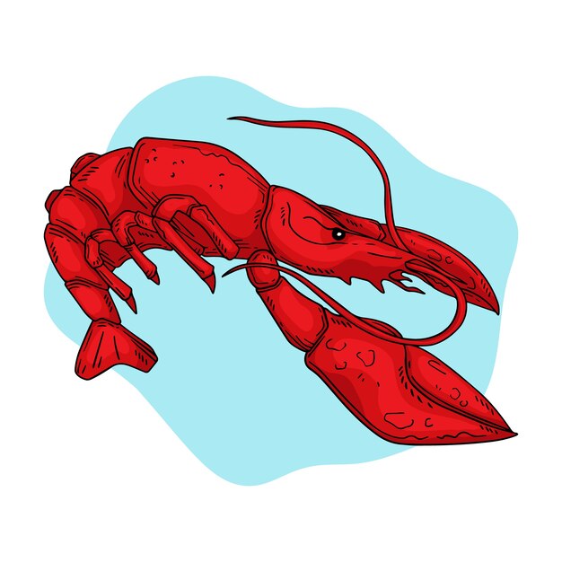 Hand drawn crawfish illustration