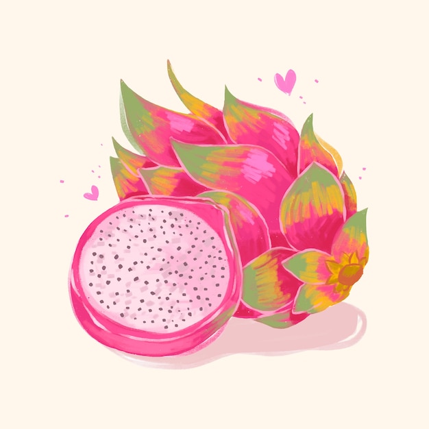 Free vector hand drawn crayon dragonfruit illustration