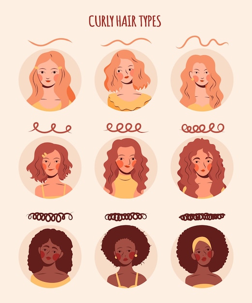 Hand-drawn curly hair types with women