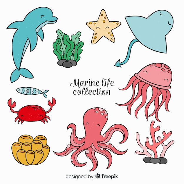 Hand drawn cute sea animals collection