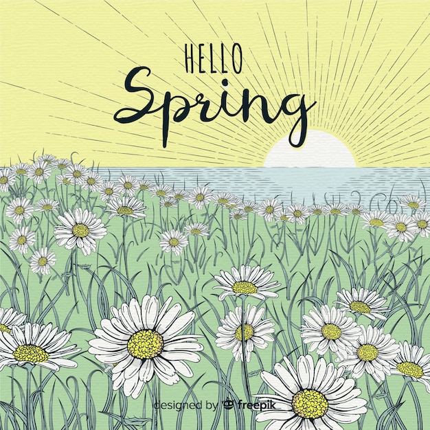 Free vector hand drawn daisy  field spring background