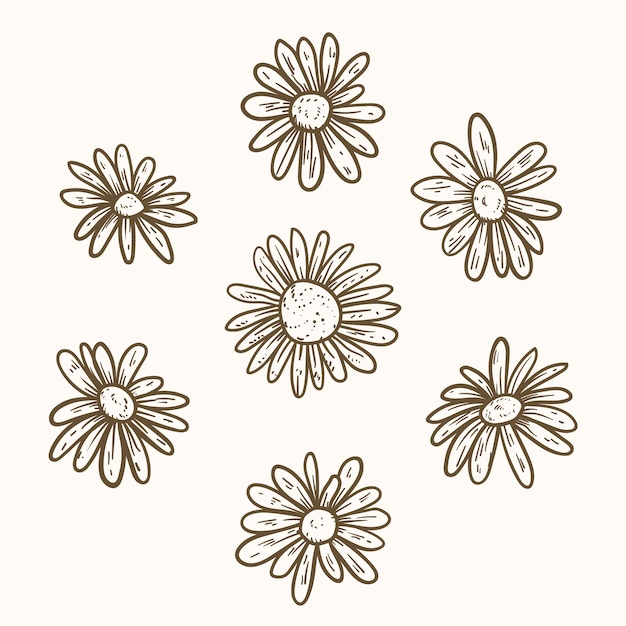 Free vector hand drawn daisy outline illustration