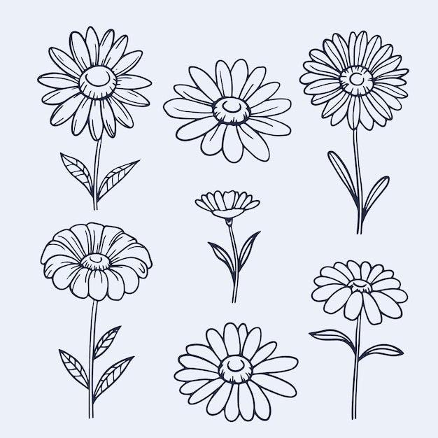 Free vector hand drawn daisy outline illustration