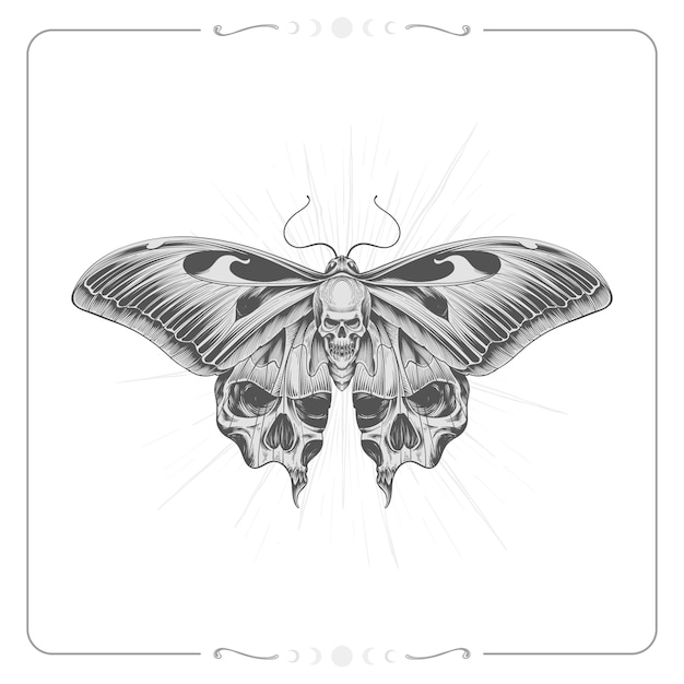 Hand drawn death moth drawing illustration