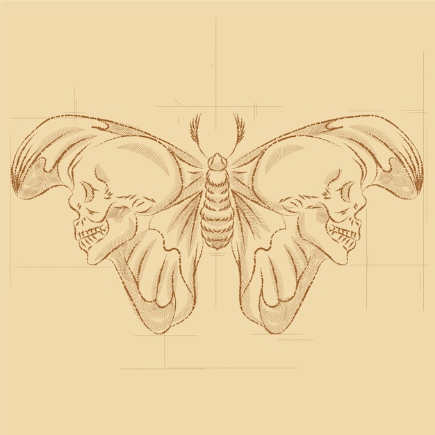 Free Vector hand drawn death moth drawing illustration