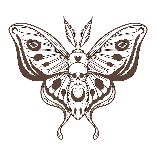 Hand drawn death moth drawing illustration