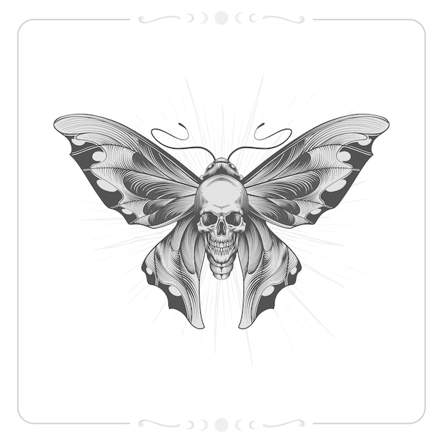 Hand drawn death moth drawing illustration