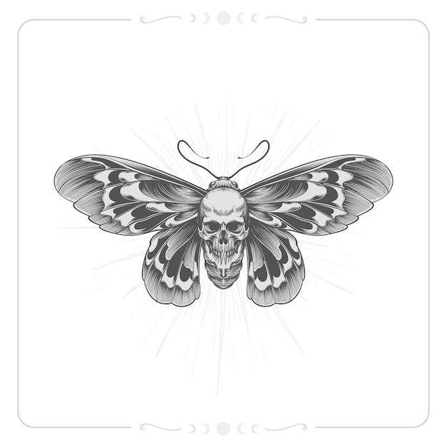 Hand drawn death moth drawing illustration