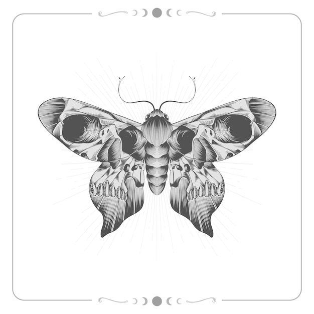 Hand drawn death moth drawing illustration