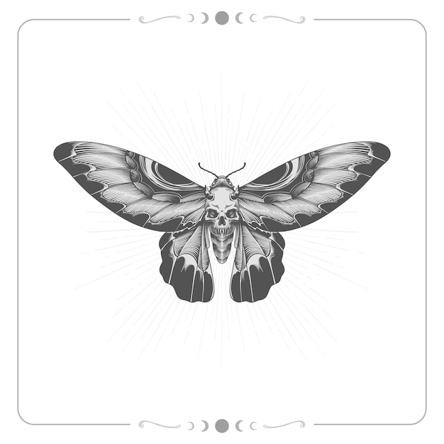 Free Vector hand drawn death moth drawing illustration