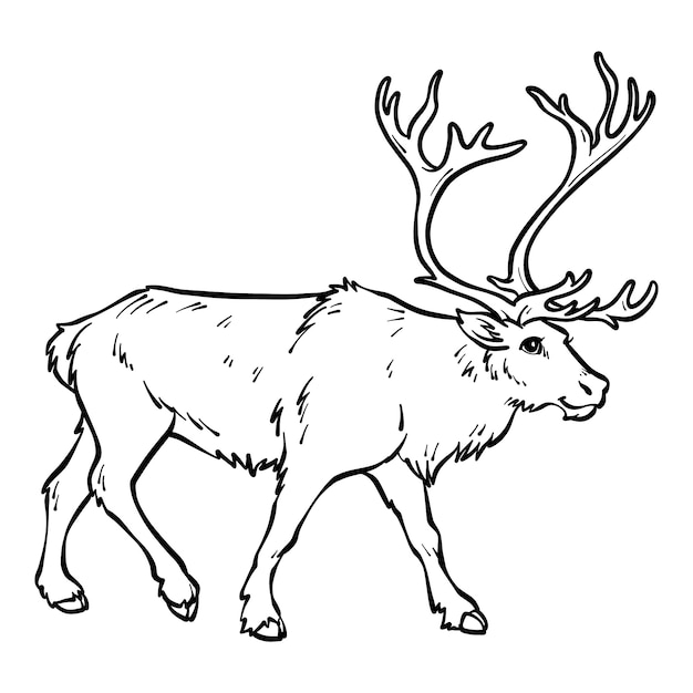 Free Vector hand drawn deer outline illustration