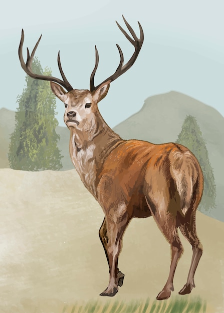 Free Vector hand drawn deer