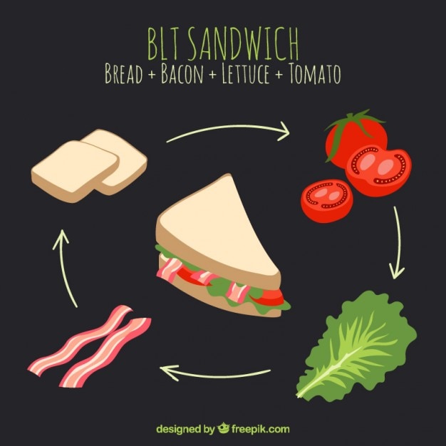 Free Vector hand drawn delicious sandwich 