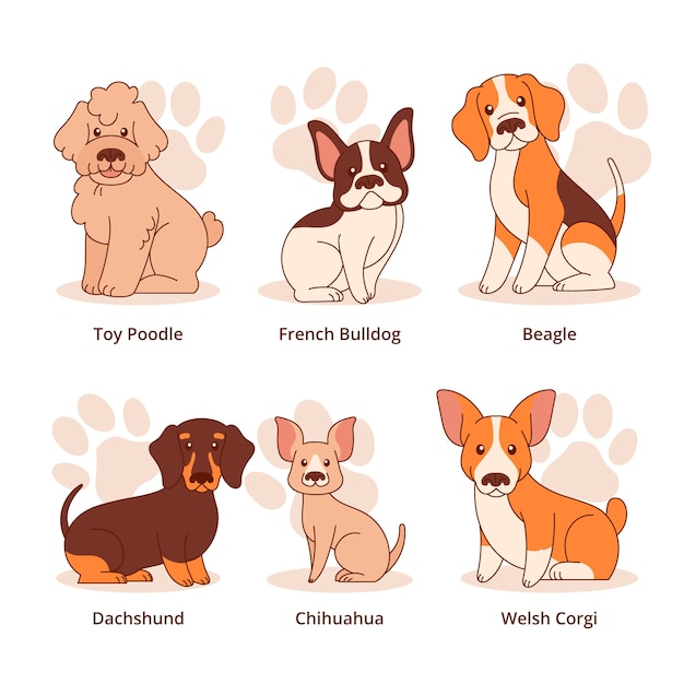 Free Vector hand drawn dog breeds element collection