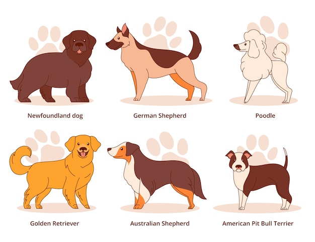 Free Vector hand drawn dog breeds element collection