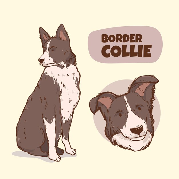 Hand drawn dog breeds illustration