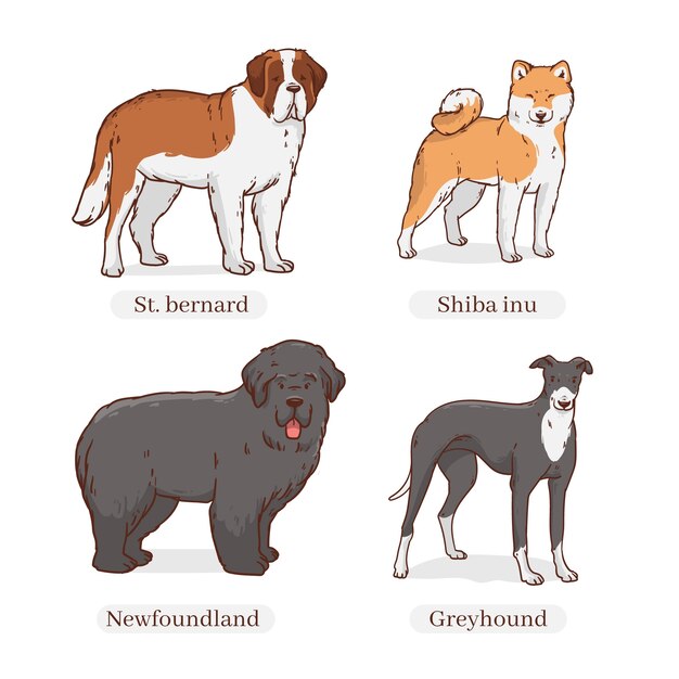 Free Vector hand drawn dog breeds illustration