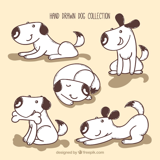 Free Vector hand-drawn dog collection