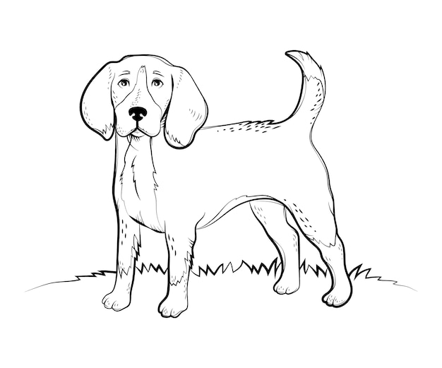 Free Vector hand drawn dog outline illustration