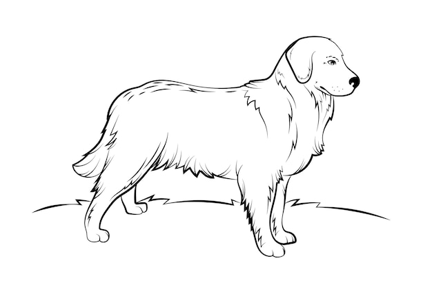 Hand drawn dog outline illustration