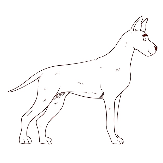 Free vector hand drawn dog outline illustration