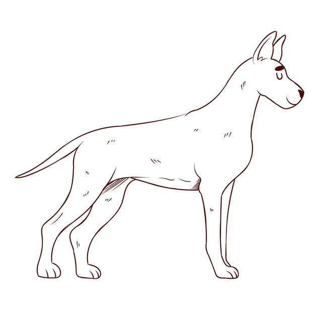 Hand drawn dog outline illustration