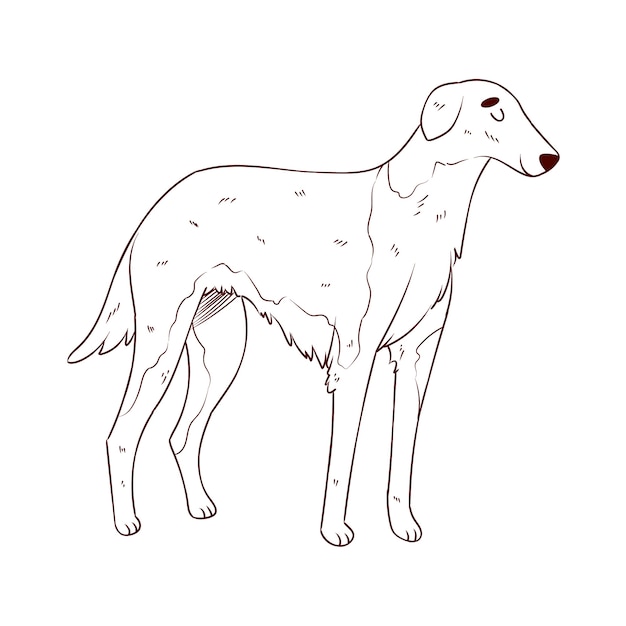 Free Vector hand drawn dog outline illustration