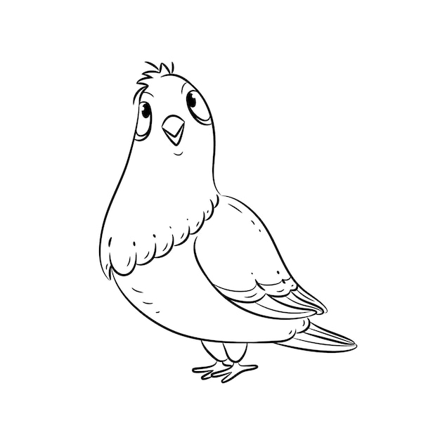 Hand drawn dove outline illustration