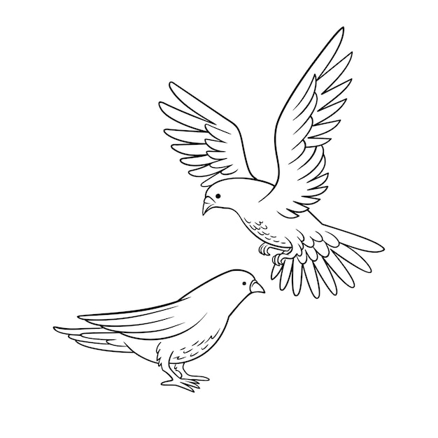 Hand drawn dove outline illustration